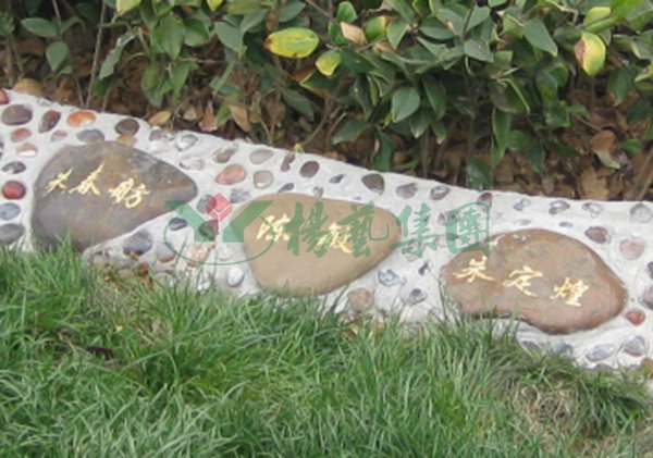 Galaxy·天河国际(中国)-官方网站