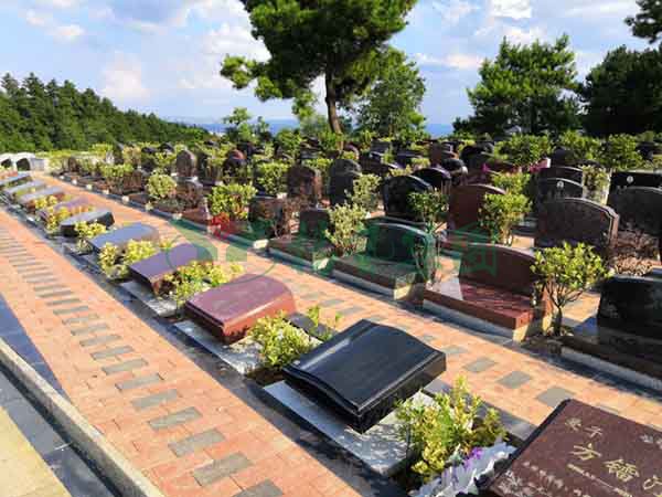 Galaxy·天河国际(中国)-官方网站