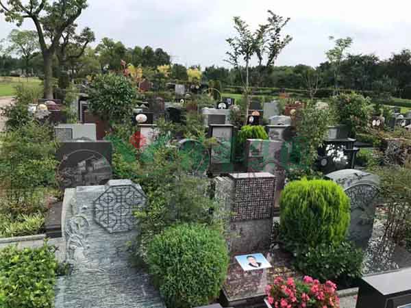 Galaxy·天河国际(中国)-官方网站