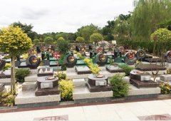 上；懔靶腔鹎