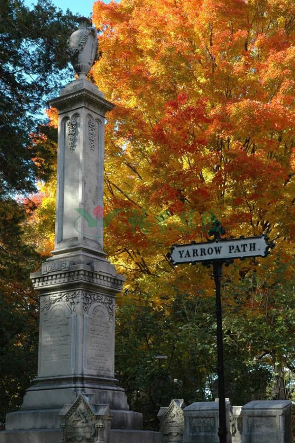 Galaxy·天河国际(中国)-官方网站