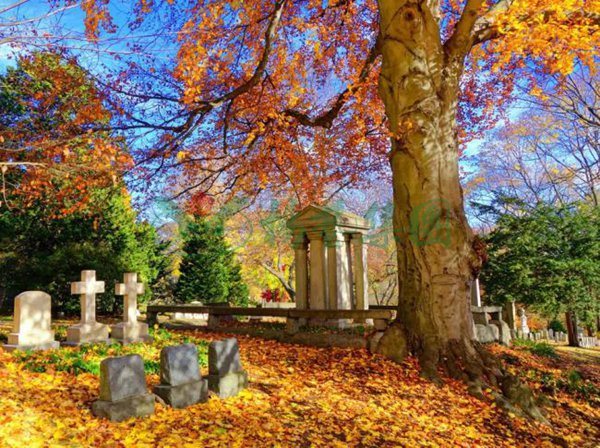 Galaxy·天河国际(中国)-官方网站