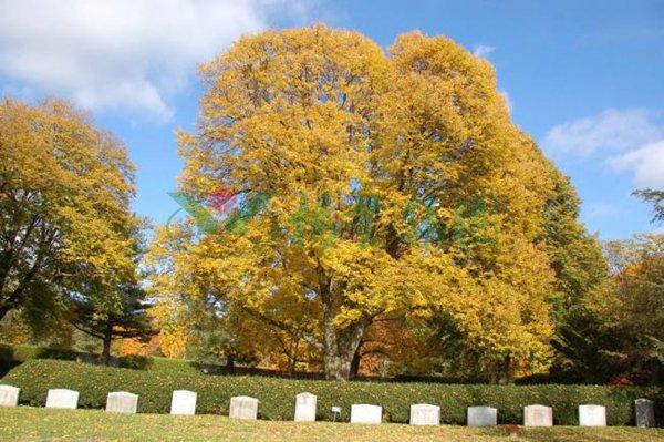 Galaxy·天河国际(中国)-官方网站