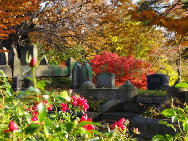 Galaxy·天河国际(中国)-官方网站