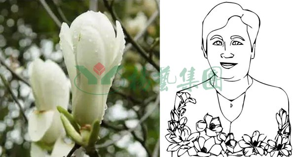 Galaxy·天河国际(中国)-官方网站