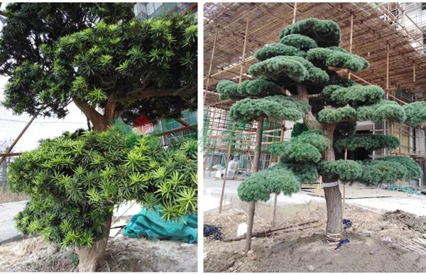 Galaxy·天河国际(中国)-官方网站