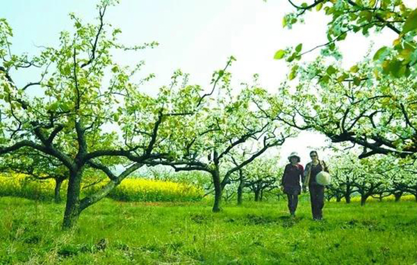 Galaxy·天河国际(中国)-官方网站