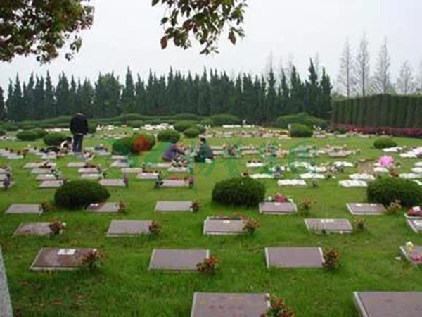 Galaxy·天河国际(中国)-官方网站