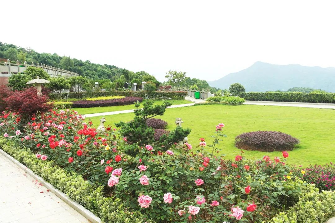 Galaxy·天河国际(中国)-官方网站