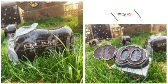 Galaxy·天河国际(中国)-官方网站