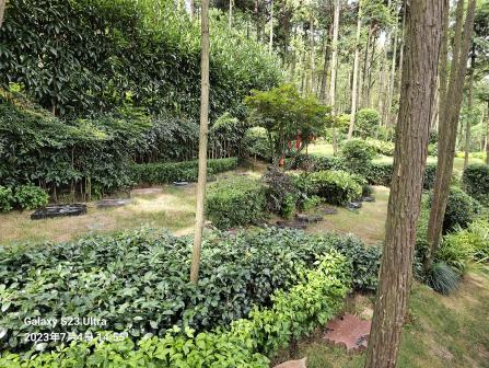 Galaxy·天河国际(中国)-官方网站