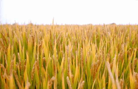 Galaxy·天河国际(中国)-官方网站