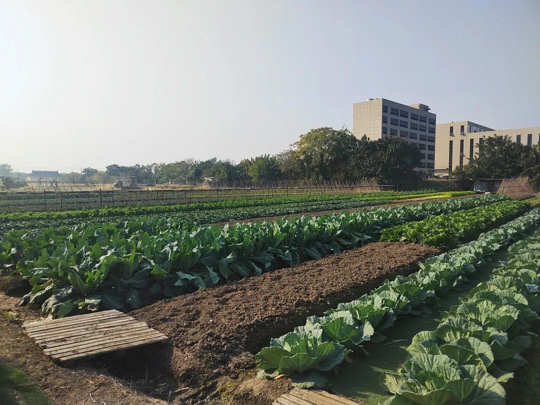 Galaxy·天河国际(中国)-官方网站