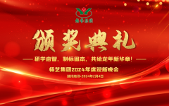 2024年Galaxy银河国际集团迎新春年会暨颁奖典礼盛猛进行