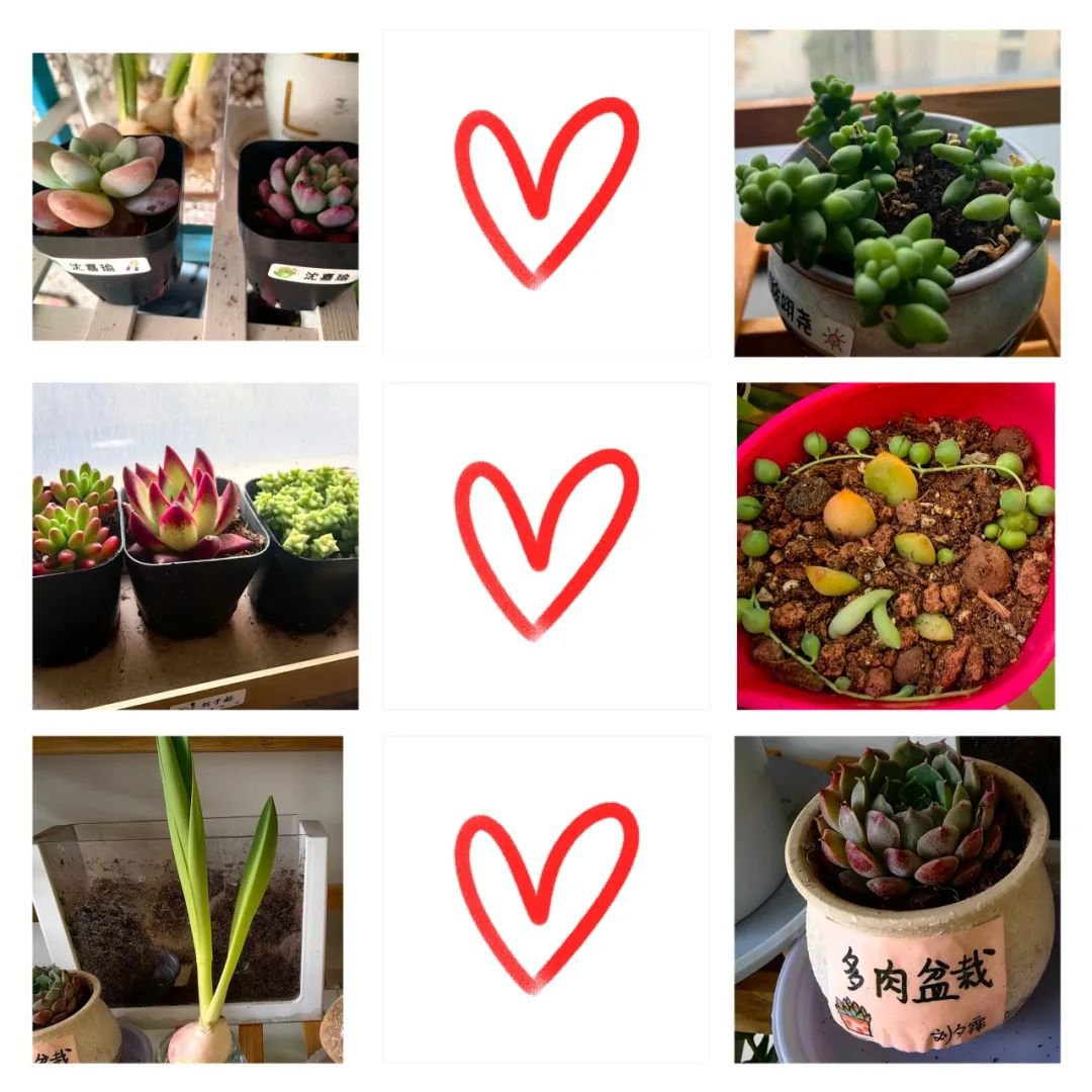 Galaxy·天河国际(中国)-官方网站