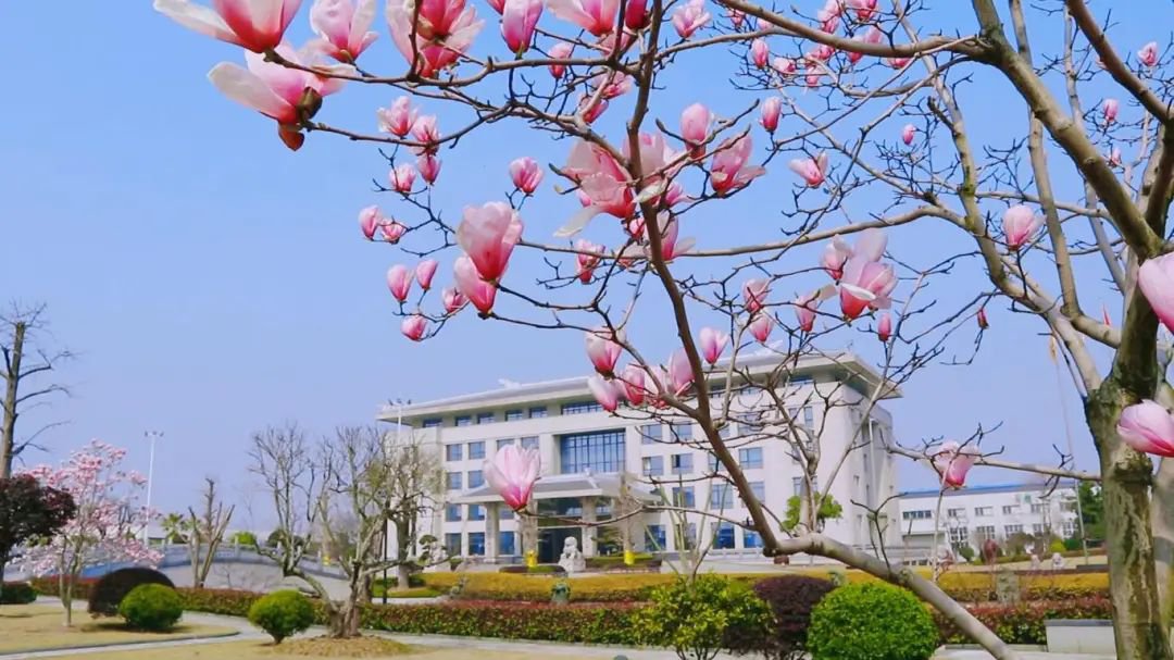 Galaxy·天河国际(中国)-官方网站