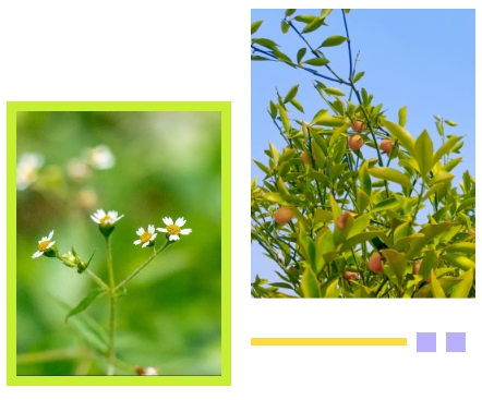 Galaxy·天河国际(中国)-官方网站