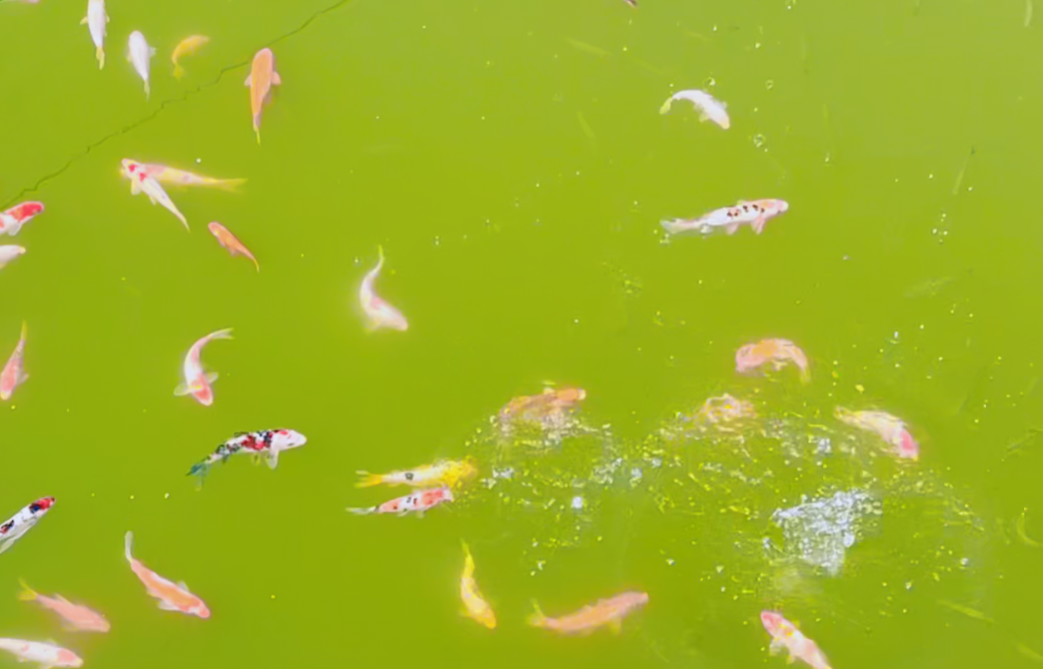 Galaxy·天河国际(中国)-官方网站