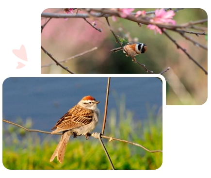 Galaxy·天河国际(中国)-官方网站