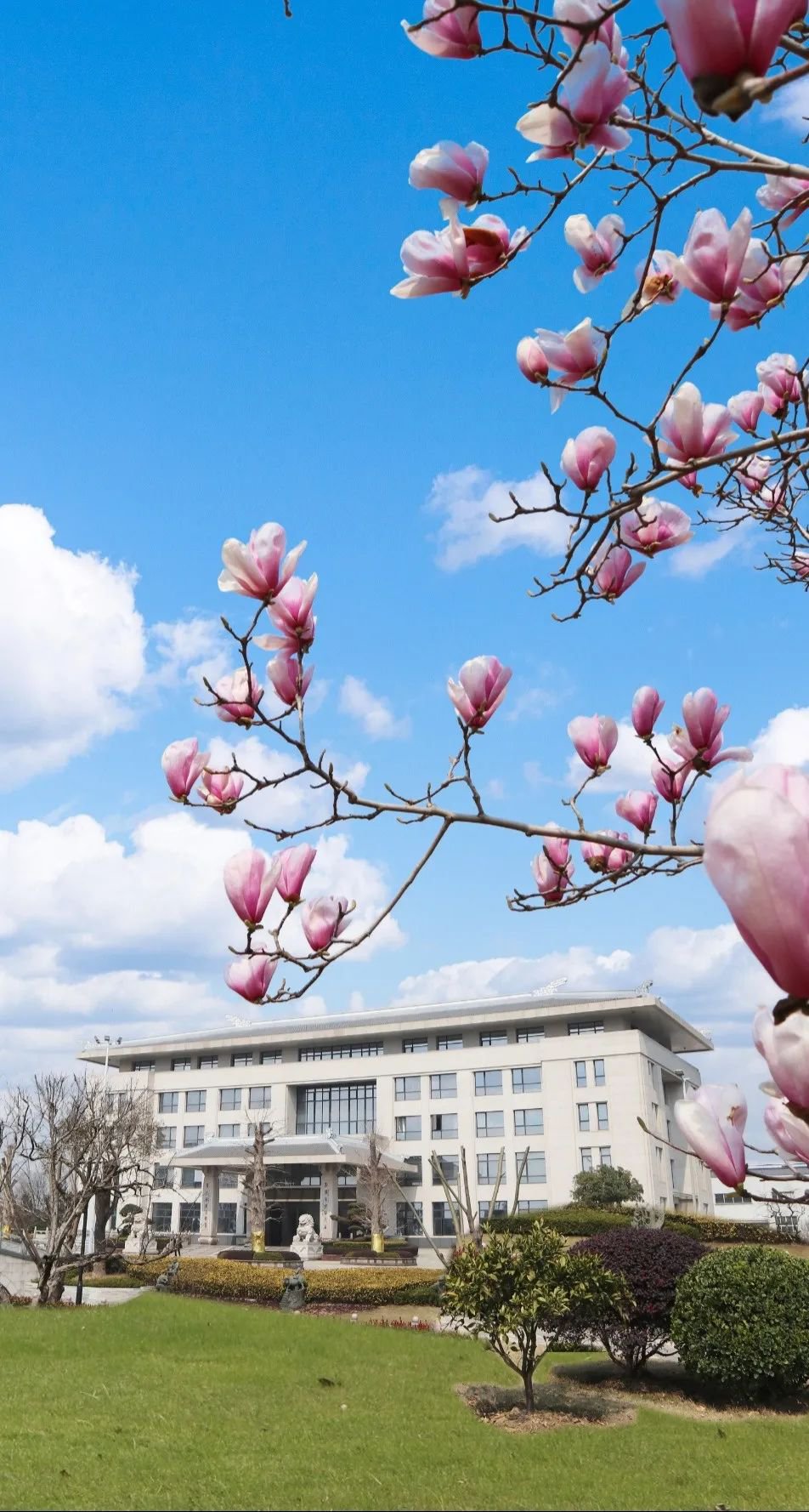 Galaxy·天河国际(中国)-官方网站