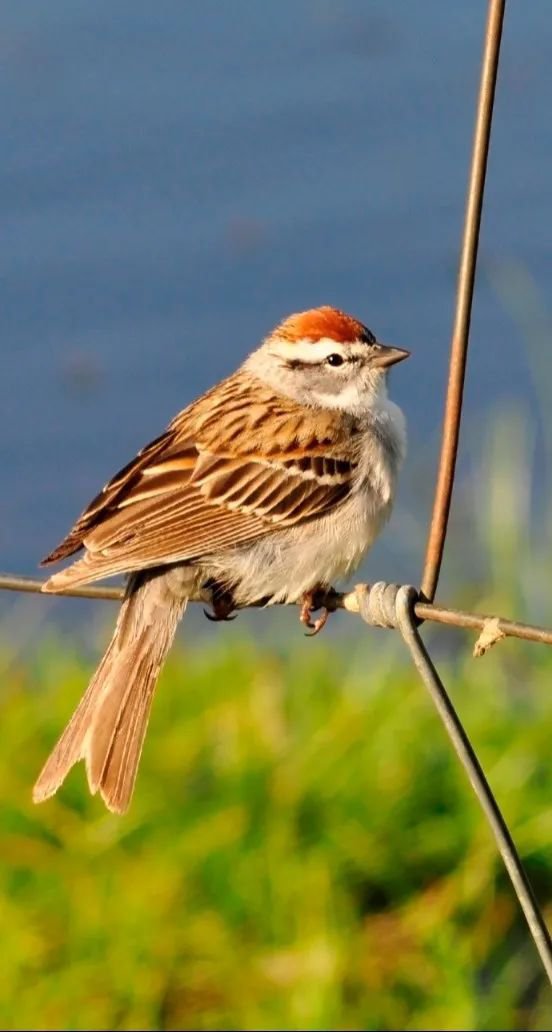 Galaxy·天河国际(中国)-官方网站