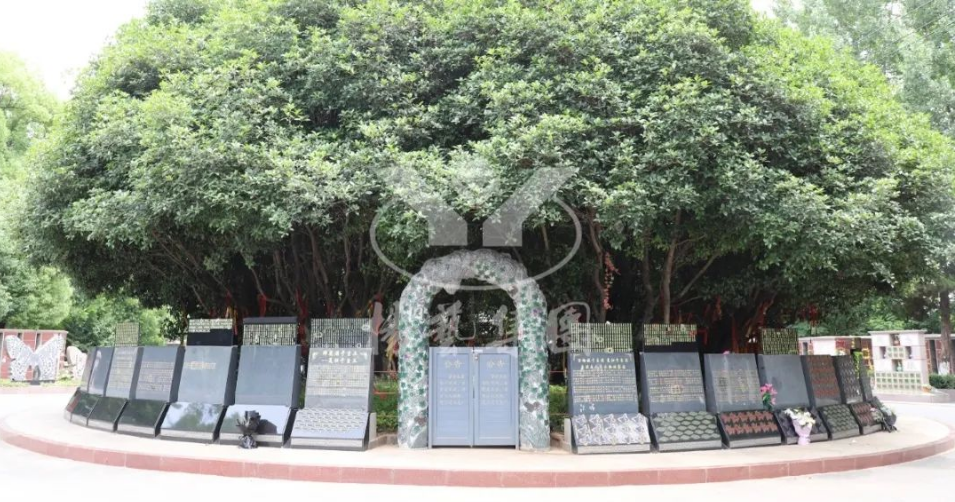 Galaxy·天河国际(中国)-官方网站