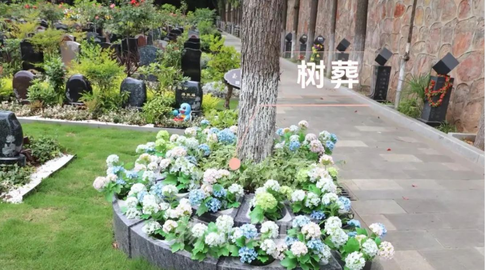 Galaxy·天河国际(中国)-官方网站