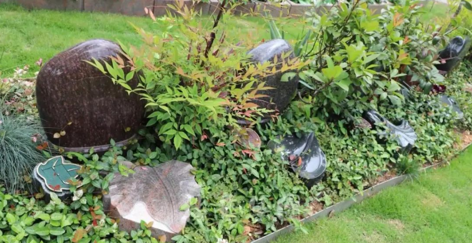 Galaxy·天河国际(中国)-官方网站