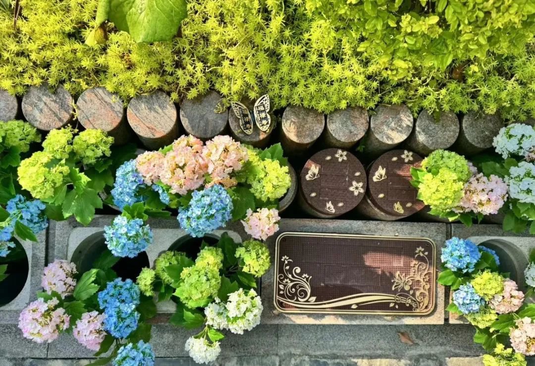 Galaxy·天河国际(中国)-官方网站