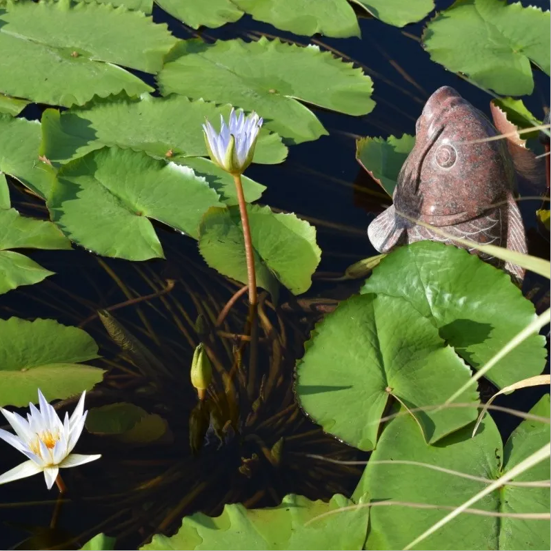 Galaxy·天河国际(中国)-官方网站