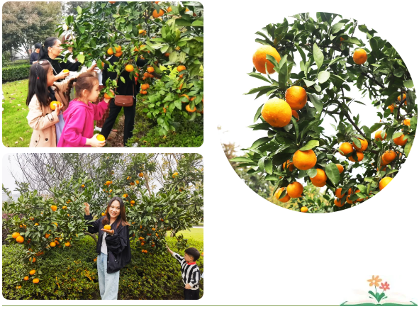 Galaxy·天河国际(中国)-官方网站