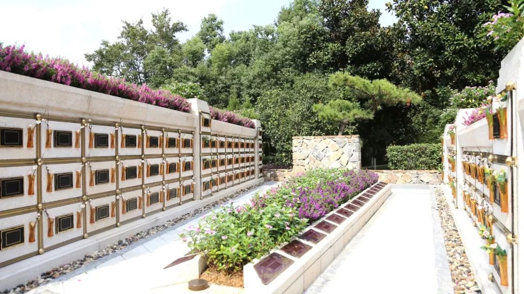 <b>在合肥大蜀山文化陵寝，与性命温顺对话</b>