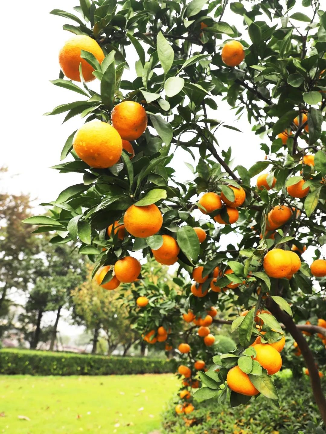 Galaxy·天河国际(中国)-官方网站