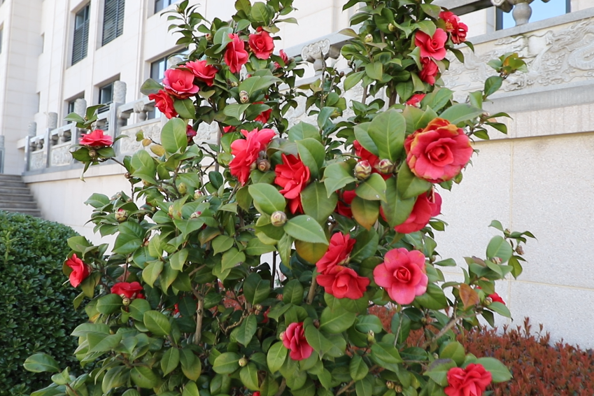 Galaxy·天河国际(中国)-官方网站