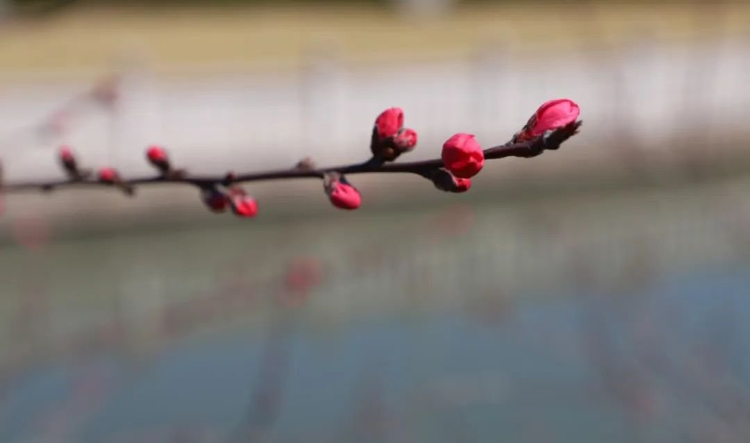 Galaxy·天河国际(中国)-官方网站