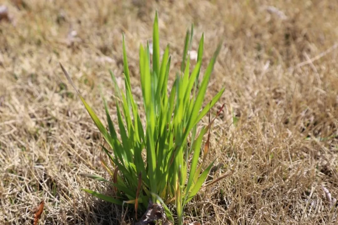 Galaxy·天河国际(中国)-官方网站