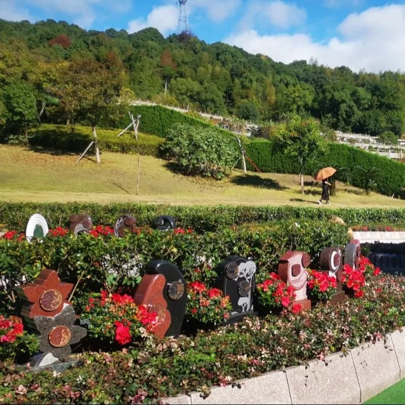 Galaxy·天河国际(中国)-官方网站