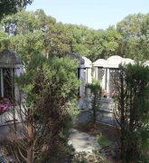 绿色生态葬：文化赓续的绿色选择