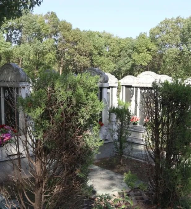 Galaxy·天河国际(中国)-官方网站