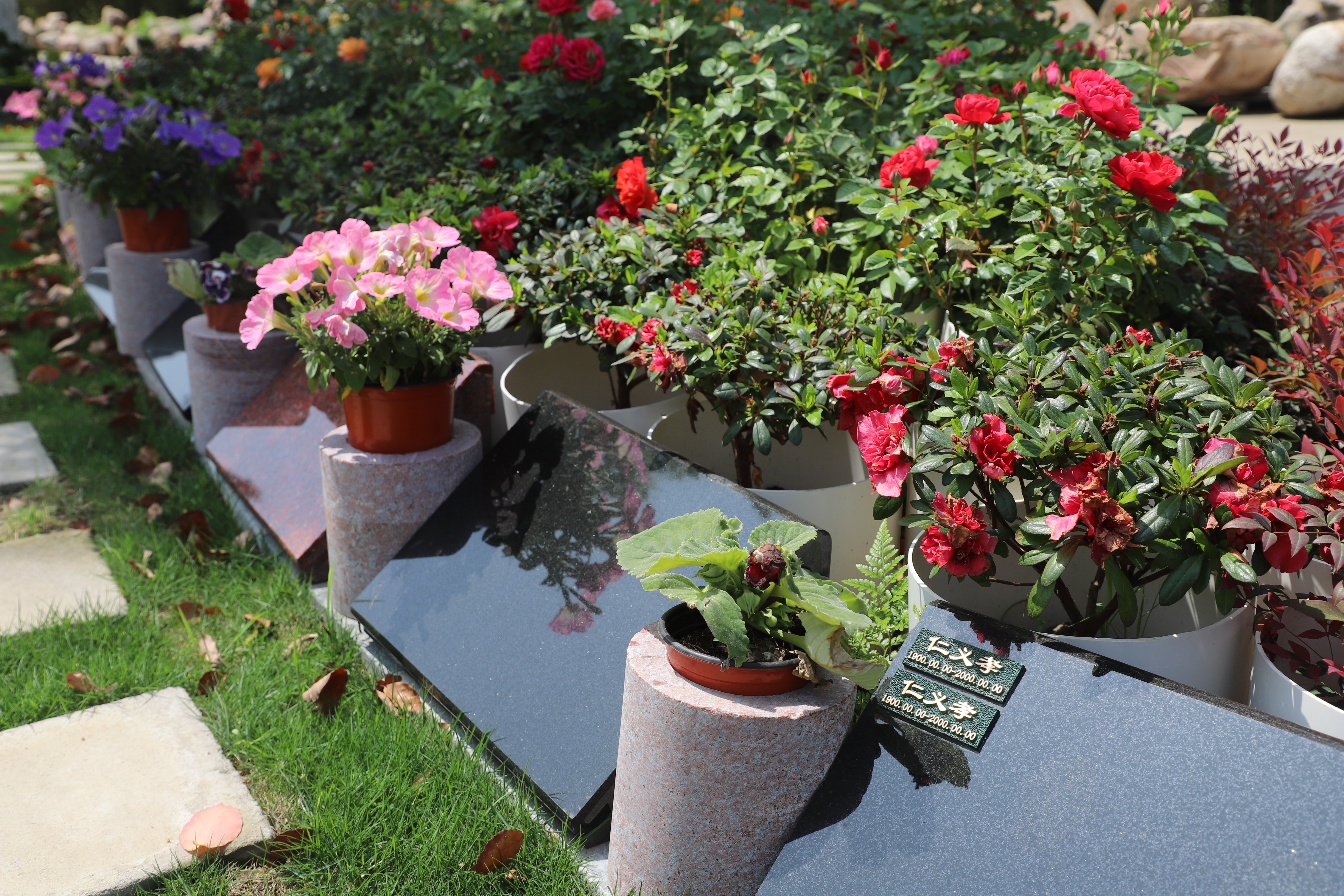 Galaxy·天河国际(中国)-官方网站