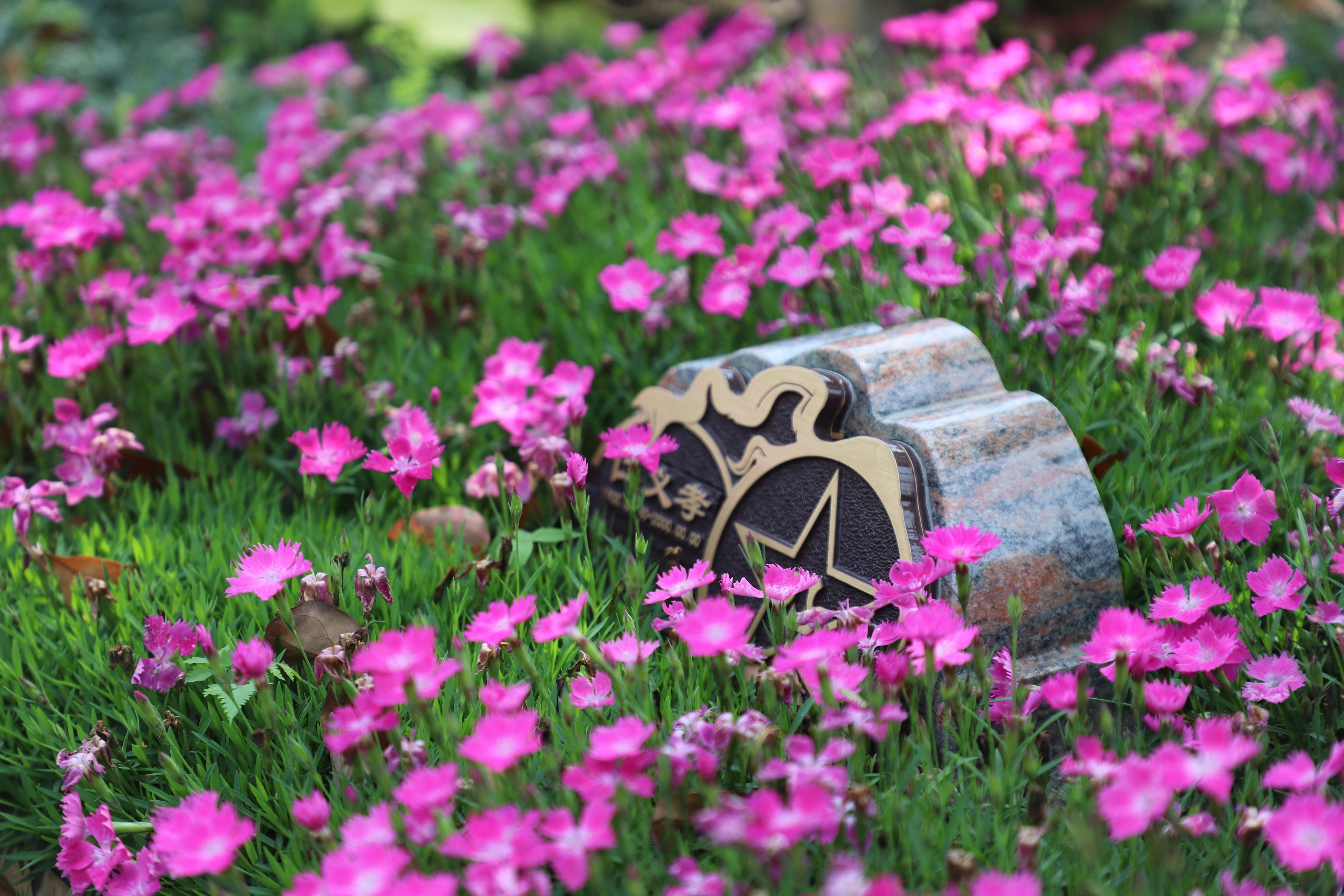 Galaxy·天河国际(中国)-官方网站