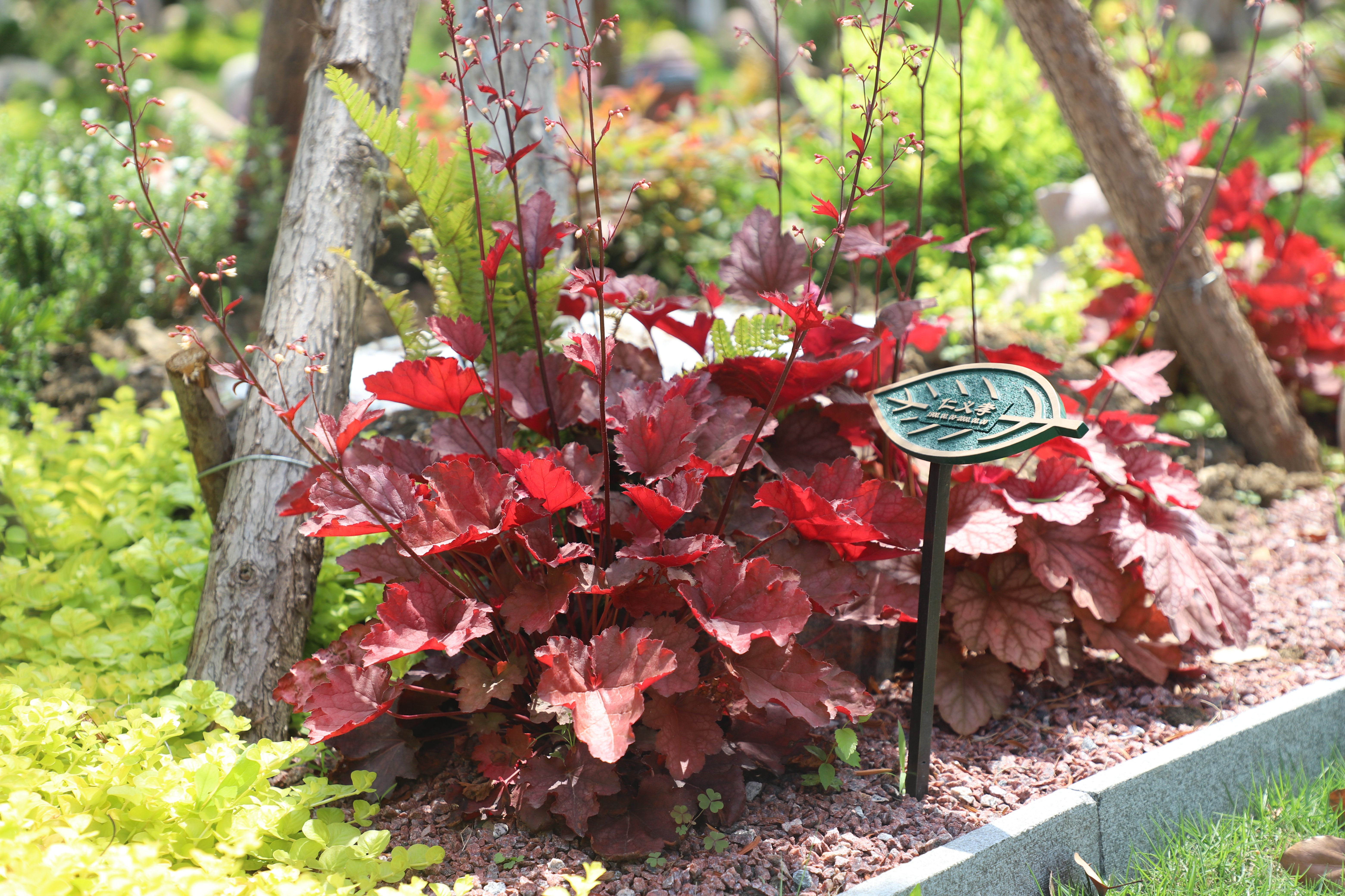 Galaxy·天河国际(中国)-官方网站