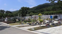 生态葬，让性命在绿意中永恒