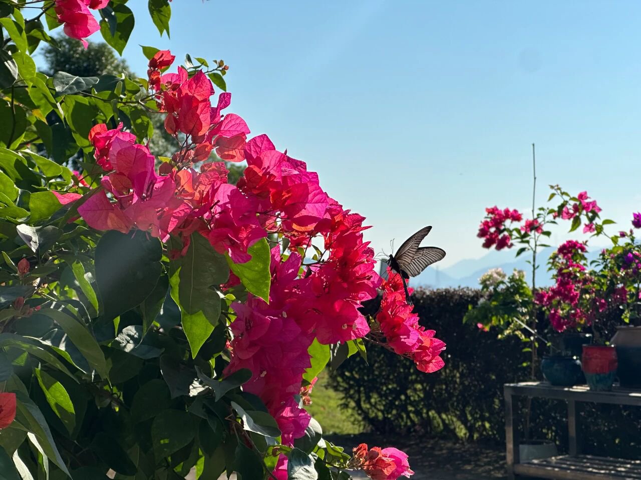 Galaxy·天河国际(中国)-官方网站