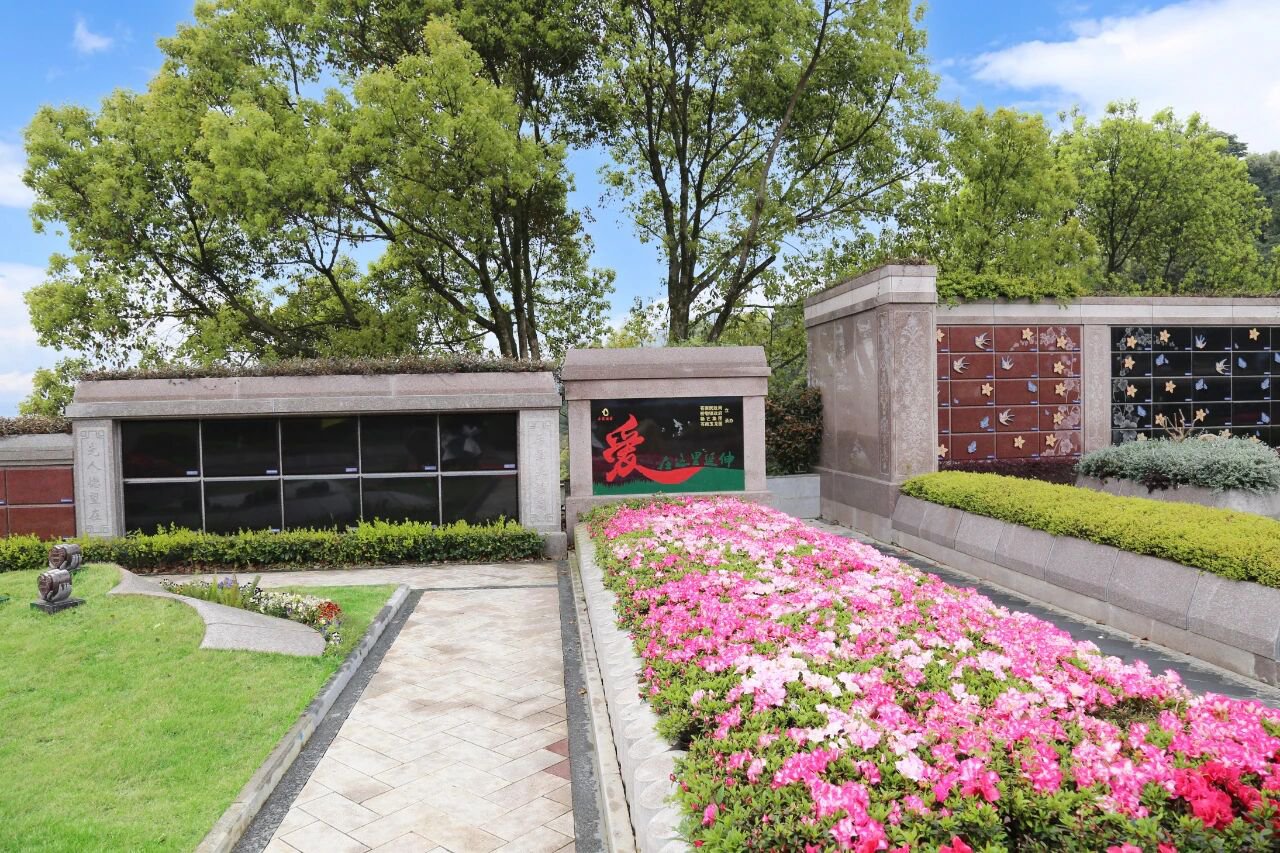 当留想，起头成长