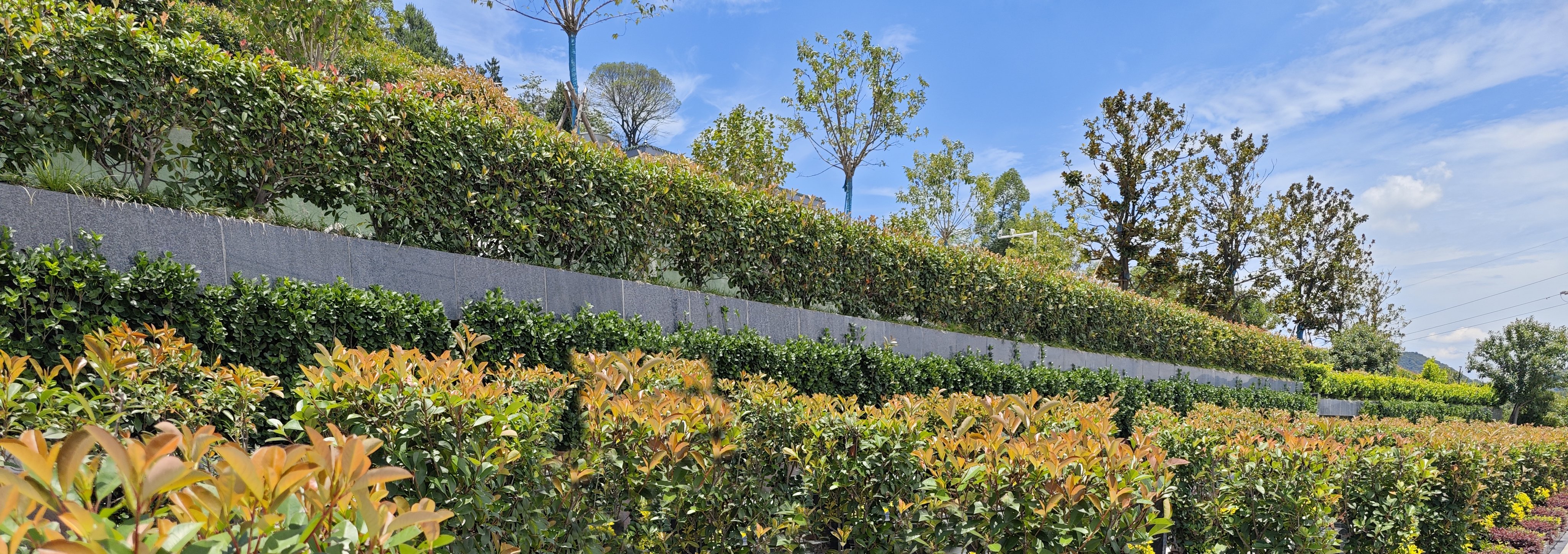 Galaxy·天河国际(中国)-官方网站