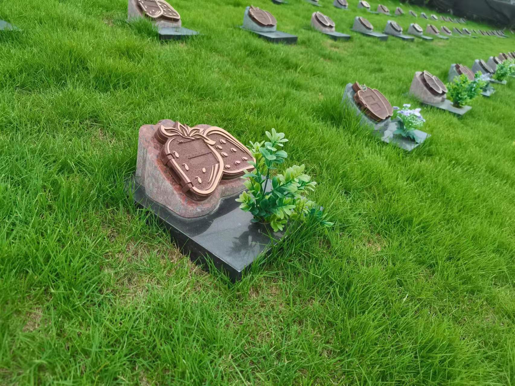 Galaxy·天河国际(中国)-官方网站