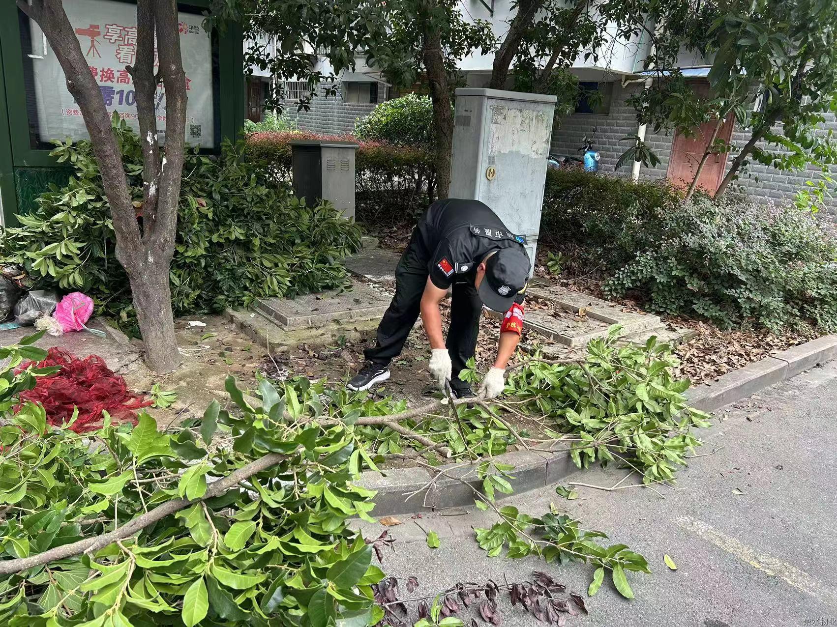 “洁”尽全力 守护优美 | 绣出高颜值，焕新老小区
